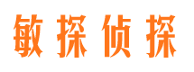 蓝山找人公司